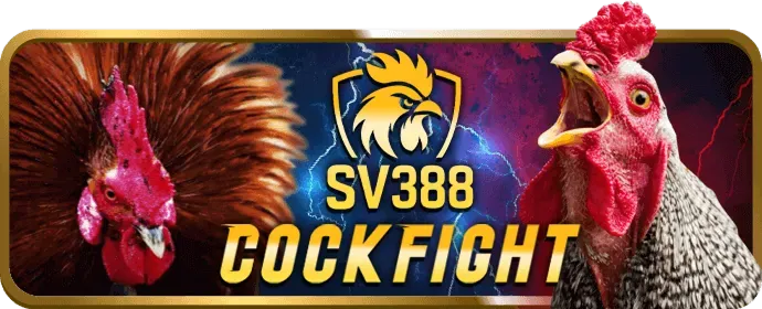 Đa dạng trò chơi cá cược tại 799BET